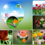 Đăng ký thành lập công ty tại Hòa Bình 6 Muốn đăng ký thành lập công ty tại Hòa Bình