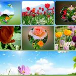 Đăng ký thành lập công ty tại Huyện Cần Giờ 6 Muốn đăng ký thành lập công ty tại Huyện Cần Giờ