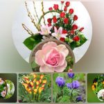 Đăng ký thành lập công ty tại Huyện Cờ Đỏ 6 Muốn đăng ký thành lập công ty tại Huyện Cờ Đỏ