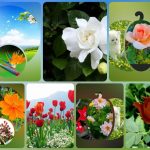 Đăng ký thành lập công ty tại Huyện Củ Chi 6 Muốn đăng ký thành lập công ty tại Huyện Củ Chi