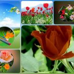 Đăng ký thành lập công ty tại Huyện Nhà Bè 6 Muốn đăng ký thành lập công ty tại Huyện Nhà Bè