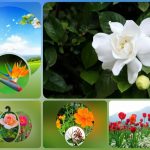 Đăng ký thành lập công ty tại Huyện Thường Tín 6 Muốn đăng ký thành lập công ty tại Huyện Thường Tín