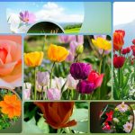 Đăng ký thành lập công ty tại Khánh Hòa 6 Muốn đăng ký thành lập công ty tại Khánh Hòa