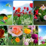 Muốn đăng ký thành lập công ty tại Lai Châu