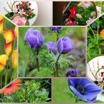 Đăng ký thành lập công ty tại Lào Cai 6 Thành lập doanh nghiệp ở Lào Cai như thế nào?