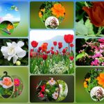 Đăng ký thành lập công ty tại Ninh Thuận 6 Muốn đăng ký thành lập công ty tại Ninh Thuận