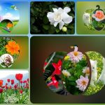Muốn đăng ký thành lập công ty tại Phú Thọ