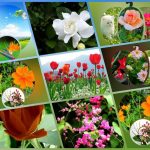 Đăng ký thành lập công ty tại Quận Bình Tân 6 Muốn đăng ký thành lập công ty tại Quận Bình Tân
