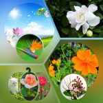 Đăng ký thành lập công ty tại Quận Tân Bình 6 Muốn đăng ký thành lập công ty tại Quận Tân Bình
