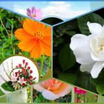 Đăng ký thành lập công ty tại Sơn La 6 Muốn đăng ký thành lập công ty tại Sơn La