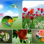 Đăng ký thành lập công ty tại Thừa Thiên Huế 6 Muốn đăng ký thành lập công ty tại Thừa Thiên Huế