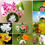 Đăng ký thành lập công ty tại Tuyên Quang 6 Muốn đăng ký thành lập công ty tại Tuyên Quang