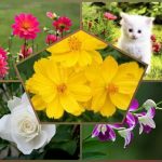 Đăng ký thành lập văn phòng đại diện tại Hà Nội 6 Muốn thành lập văn phòng đại diện tại Hà Nội