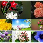 Dịch vụ giải thể công ty tại Cần Thơ trọn gói chỉ với 3.000.000đ 14 Muốn dịch vụ giải thể doanh nghiệp tại Cần Thơ – 3.000.000