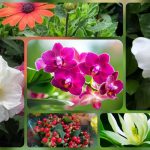 Muốn dịch vụ giải thể doanh nghiệp tại Huyện Hoài Đức – 3.000.000