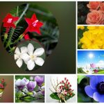 Dịch vụ giải thể công ty tại Huyện Vĩnh Thạnh - 3.000.000 6 Muốn dịch vụ giải thể doanh nghiệp tại Huyện Vĩnh Thạnh – 3.000.000