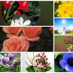 Dịch vụ giải thể công ty tại Quận Bình Thủy - 3.000.000 6 Muốn dịch vụ giải thể doanh nghiệp tại Quận Bình Thủy – 3.000.000