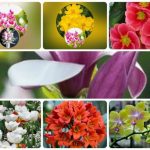 Dịch vụ giải thể công ty Huyện Bắc Tân Uyên 3 Muốn giải thể công ty Huyện Bắc Tân Uyên