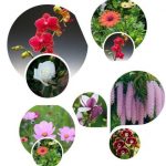 Dịch vụ giải thể công ty Huyện Dầu Tiếng 3 Muốn giải thể công ty Huyện Dầu Tiếng