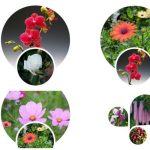 Dịch vụ giải thể công ty Kiên Giang 3 Muốn giải thể công ty Kiên Giang