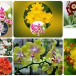 Dịch vụ giải thể công ty Ninh Thuận 6 Muốn giải thể công ty Ninh Thuận