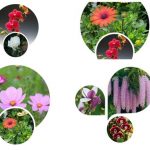 Thủ tục giải thể công ty tại Khánh Hòa 3 Muốn giải thể công ty tại Khánh Hòa