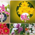 Thủ tục giải thể công ty tại Quận Bình Thạnh 6 Muốn giải thể công ty tại Quận Bình Thạnh