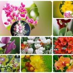 Thủ tục giải thể công ty tại Quận Đống Đa 6 Muốn giải thể công ty tại Quận Đống Đa