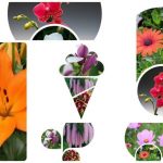Thủ tục giải thể công ty tại Quận Hai Bà Trưng 6 Muốn giải thể công ty tại Quận Hai Bà Trưng