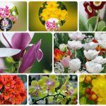 Thủ tục giải thể công ty tại Thành phố Hồ Chí Minh 3 Muốn giải thể công ty tại Thành phố Hồ Chí Minh