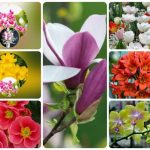 Muốn giải thể công ty tại Thành Phố Thủ Dầu Một
