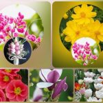 Thủ tục giải thể công ty tại Thị Xã Bến Cát 3 Muốn giải thể công ty tại Thị Xã Bến Cát