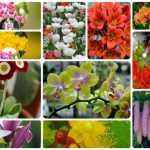 Muốn giải thể công ty tại Thị Xã Dĩ An
