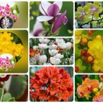 Thủ tục giải thể công ty tại Thị Xã Sơn Tây 3 Muốn giải thể công ty tại Thị Xã Sơn Tây