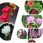 Muốn giải thể công ty tại Thị Xã Thuận An