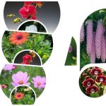 Muốn giải thể công ty tại Tiền Giang