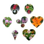 Thủ tục giải thể công ty tại TPHCM 3 Muốn giải thể công ty tại TPHCM