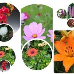 Thủ tục giải thể công ty tại Vĩnh Long 3 Muốn giải thể công ty tại Vĩnh Long