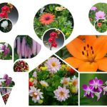 Thủ tục giải thể công ty tại Yên Bái 6 Muốn giải thể công ty tại Yên Bái