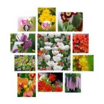 Dịch vụ giải thể công ty Thị xã Dĩ An 6 Muốn giải thể công ty Thị xã Dĩ An