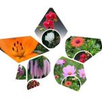 Dịch vụ giải thể công ty Thị xã Tân Uyên 3 Muốn giải thể công ty Thị xã Tân Uyên