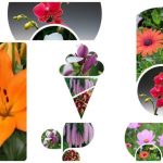 Dịch vụ giải thể công ty Thị xã Thuận An 3 Muốn giải thể công ty Thị xã Thuận An