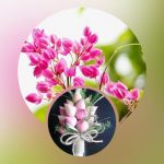 Dịch vụ giải thể công ty Vĩnh Long 3 Muốn giải thể công ty Vĩnh Long