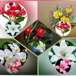 Thành lập công ty cầm đồ tại Đà Nẵng 10 Muốn thành lập doanh nghiệp cầm đồ tại Đà Nẵng