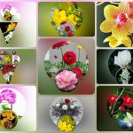 Thành lập công ty cầm đồ tại Hải Phòng 6 Muốn thành lập doanh nghiệp cầm đồ tại Hải Phòng