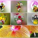 Thành lập công ty cầm đồ tại Hòa Bình 10 Muốn thành lập doanh nghiệp cầm đồ tại Hòa Bình