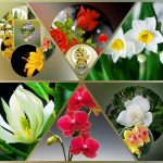 Thành lập công ty cầm đồ tại Khánh Hòa 6 Muốn thành lập doanh nghiệp cầm đồ tại Khánh Hòa