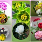 Thành lập công ty cầm đồ tại Lai Châu 6 Muốn thành lập doanh nghiệp cầm đồ tại Lai Châu