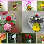 Thành lập công ty cầm đồ tại Nam Định 6 Muốn thành lập doanh nghiệp cầm đồ tại Nam Định