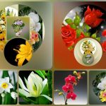 Thành lập công ty cầm đồ tại Ninh Bình 6 Muốn thành lập doanh nghiệp cầm đồ tại Ninh Bình